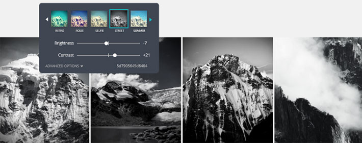 Apply a unique filter to your branded images